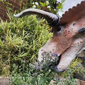Handmade Nasutoceratops Dinosaur Decor - Bust Sculpture Hanging Wall Mount