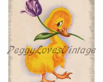 Easter 12 a Duckling with a Tuilip a Digital Image from Vintage Greeting Cards - Instant Download