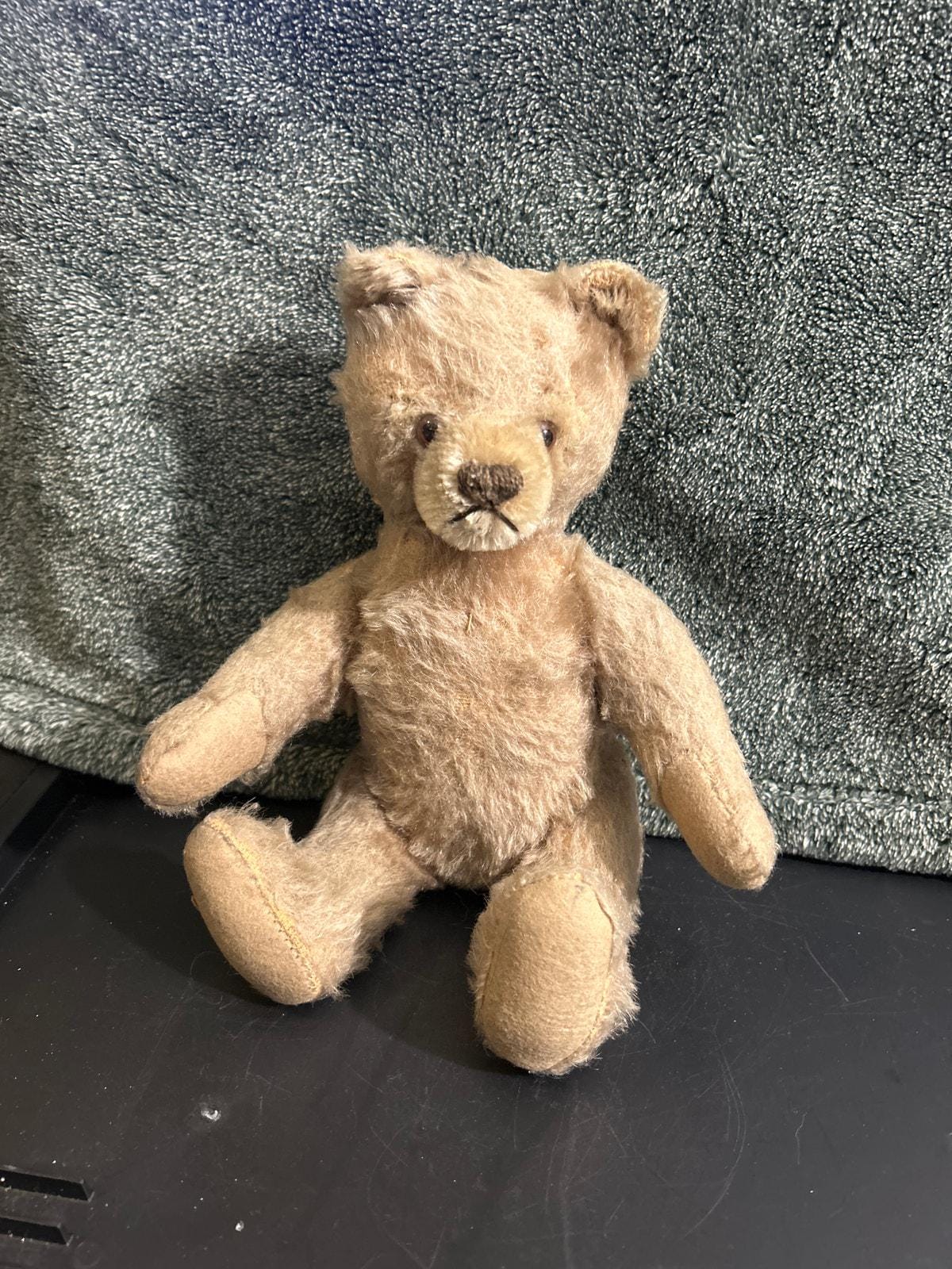 Antique steiff bear - Etsy 日本