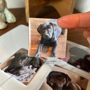 Personalized Gift | 4 Custom Photo Magnets 2x2 | Custom Fridge Magnets | Birthday Gift | Holiday Gifts