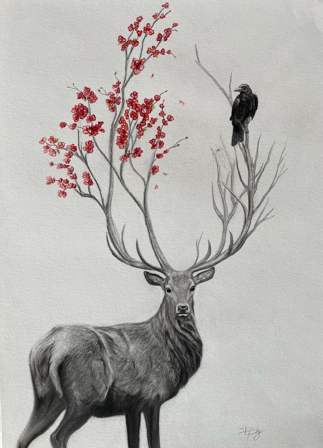 Deer, Cherry Tree, Raven, Drawing, Art - Etsy