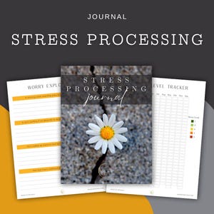 May include: A journal set with the words "Stress Processing" and "Journal" printed on the cover. The cover features a daisy growing from a crack in stone. Additional pages include a worry exploration and a stress level tracker.
