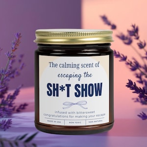 Funny coworker farewell candle gift for friend leaving job goodbye gifts for coworker leaving a job sarcastic candle boss leaving job moving