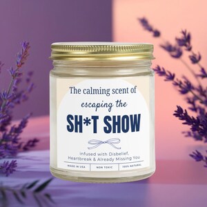 Funny coworker farewell candle gift for friend leaving job goodbye gifts for coworker leaving a job sarcastic candle boss leaving job moving