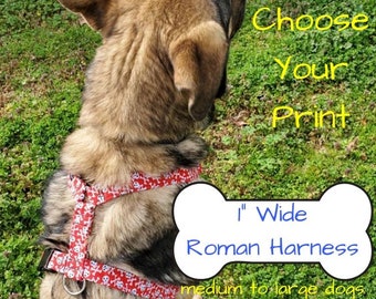 custom tracking harness