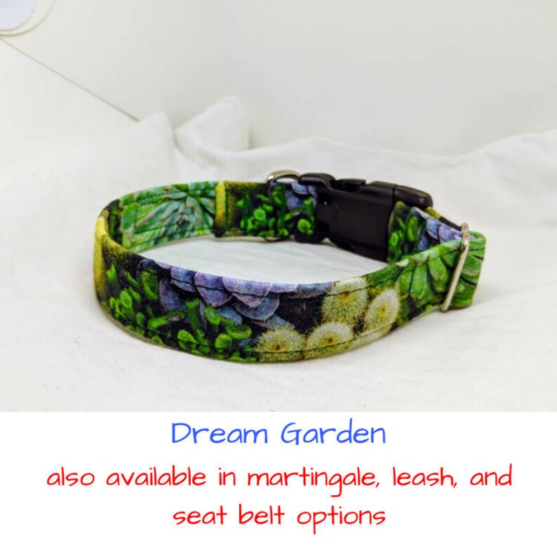 succulent dog collar