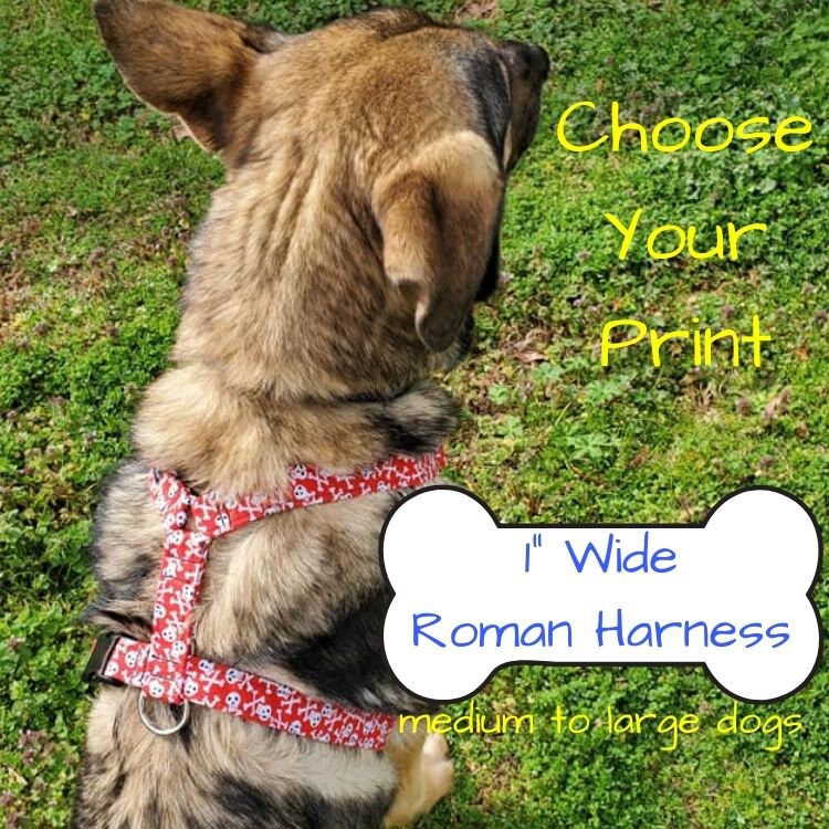 roman harness
