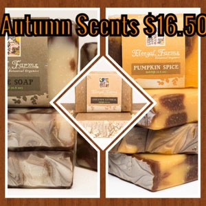 May include: A collection of Fleegal Farms Botanical Organics soap bars featuring Autumn Scents. The bars include Pumpkin Spice and Cinnamon Oatmeal varieties, each labelled with a 4.5 oz weight. The soaps display marbled brown, tan, and orange tones.