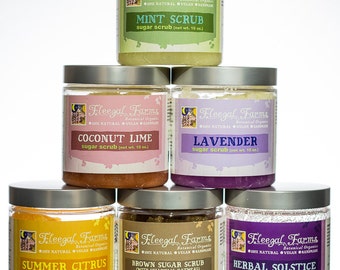 Sugar Scrub Gift Set, 6 pack of 10 oz jars, pick your six scents
