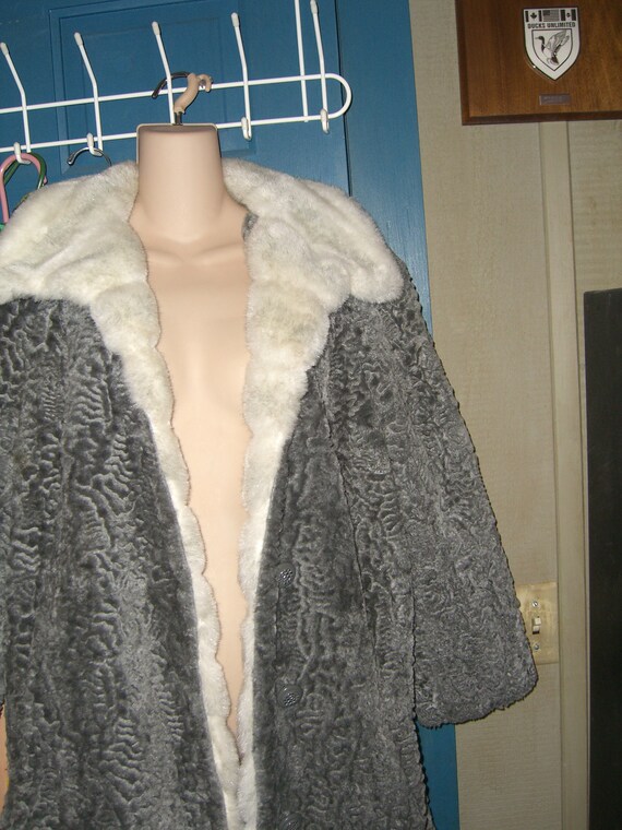 VLV SALE!!!  Gray Faux Persian Lamb Coat White Fl… - image 2