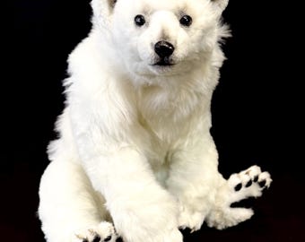 STEIFF-Ours cannelle, centenaire de steiff, 27 cm , certificat numéroté