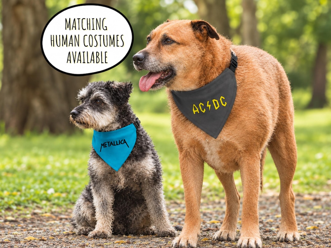 Matching Pet and Owner Halloween Costumes - Butthead and Beavis Costume ...