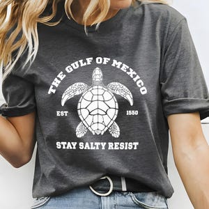 Gulf of Mexico Stay Salty Resistance Shirt, Resist Shirt, Anti Trump Shirt, Democrat Shirt, Democrat Gift Shirt