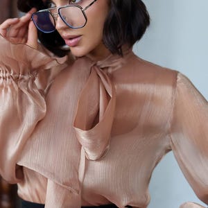 Evening Sheer Organza Blouse, Designer Formal Long Sleeve Top for Women, Elegant Fashion Blouse for Her, Bohemian, Women Blouse, Fashion,Top
