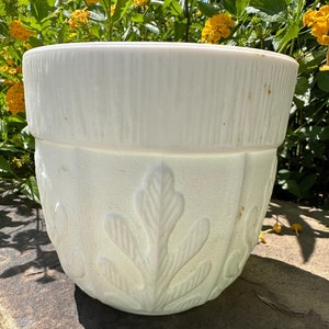 Peut inclure: Pot en plastique blanc avec un motif de feuilles. Le pot a une surface texturée et est légèrement usé.