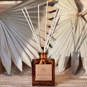 Hand Poured Reed Diffuser, Mexican Home Fragrance Gift, Quetzalcoatl's Storm