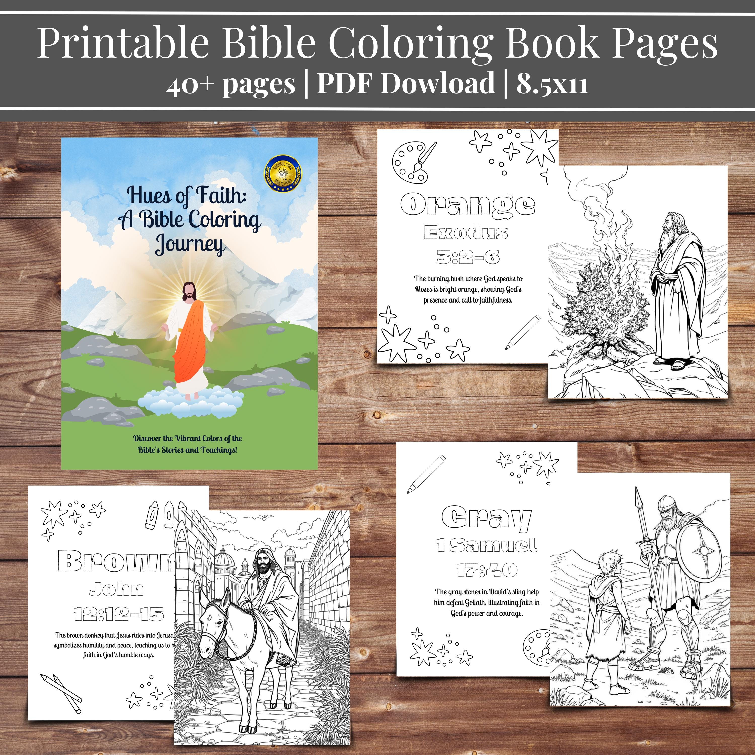 Bible Color Coloring Pages for Kids | Digital Download | Teach Colors ...