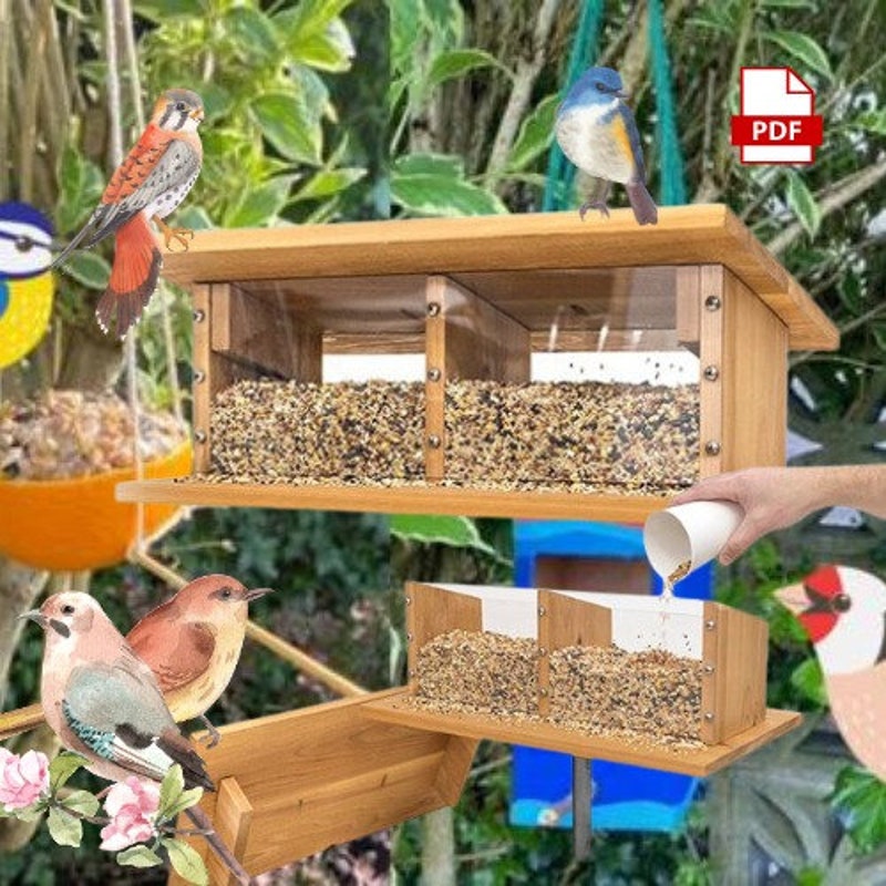 Bird Feeder Kits - Etsy