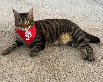 Custom Initial Pet Bandana: Cotton Snap-On Dog Cat Accessories