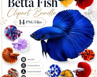 Betta Fish Clipart Bundle, 14 PNG Files, Realistic Siamese Fighting Fish Digital Clipart, PNG, Sublimation, Stickers, Commercial Use