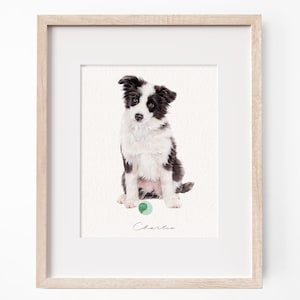 May include: A framed art print featuring a realistic illustration of a black and white Border Collie puppy sitting down. Below the puppy is a small green circular icon and the handwritten name Charlie in black cursive script on white paper.