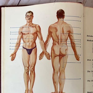 Vintage Illustrated Home Doctor Book - 1930s Medical Reference