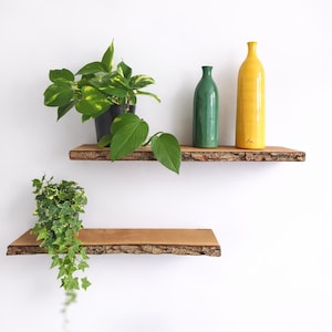 Pflanze wandregal - Etsy.de