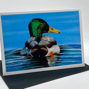 May include: A green-headed mallard duck with a yellow beak is swimming in blue water. The duck's feathers are a mix of brown, gray, and white. The water is rippling around the duck.