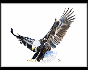 Eagle Landing Double Matted 16x20 Decorative Print