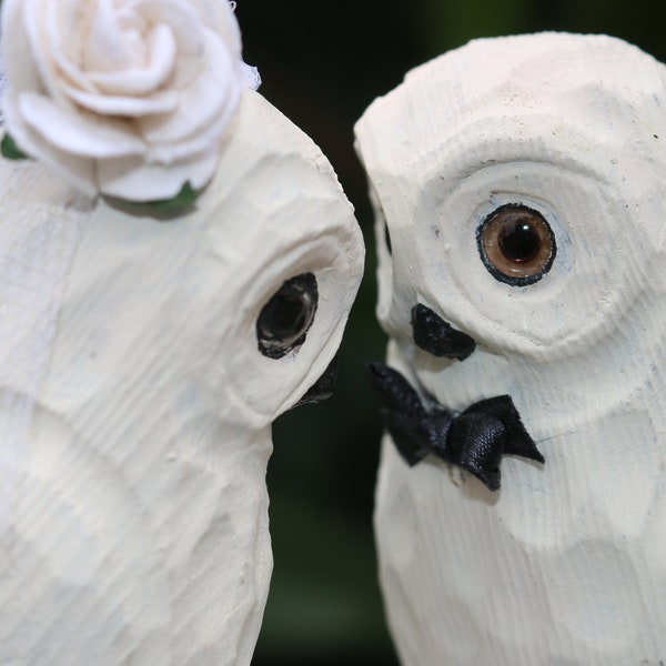 White Owls Cake Topper for Book Lovers: Snowy Owl Bride & Groom
