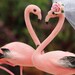 Flamingo Cake Topper Bride and Groom for Destination Wedding | Etsy
