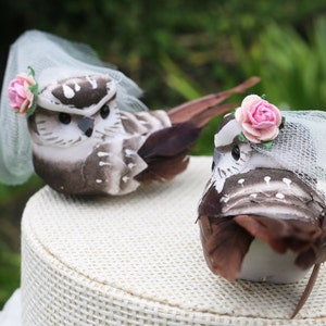 Brown Owl Cake Topper for Lesbian Wedding