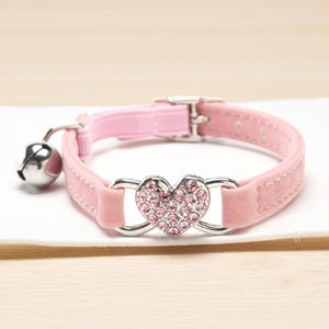 Soft and Durable Kitten Collar, Stylish Cat Accessory, Pet Lover Gift for Cat Owners, Cat Collar with Buckle Closure, Breakaway Cat Collar