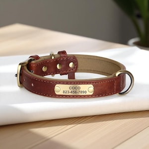 Personalized Dog Collar with Name Tag, Custom Pet Collar and Leash, Dog Gift for Pet Owners, Custom Pet Gift, Pet Name Plate Included