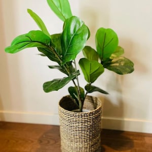 Planter Basket for gardening