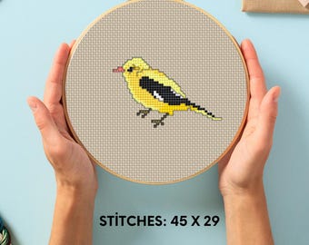 Oriole Bird Cross Stitch Pattern , How to Make Mini Easy Bird Cross Stitch Pattern , Cross Stitch Pattern for Beginners , Embroidery