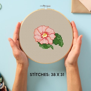Altea Flower Cross Stitch Pattern , How to Make Mini Easy Flower Cross Stitch Pattern , Cross Stitch Pattern for Beginners , Mini Flower