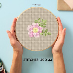 May include: A cross-stitch pattern of a pink flower with green leaves in a wooden embroidery hoop. The hoop is being held by a person's hands. The text "STITCHES: 40 X 33" is printed below the hoop.