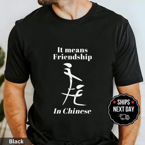Funny It Means Friendship In Chinese T-Shirt, Adult Humor Sarcastic Tee, Rude Joke Graphic Shirt, Ironic Meme Gift, Gag Gift for Best Friend