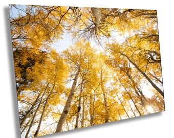 Look To The Heavens, fall colors, Tetons, Wyoming