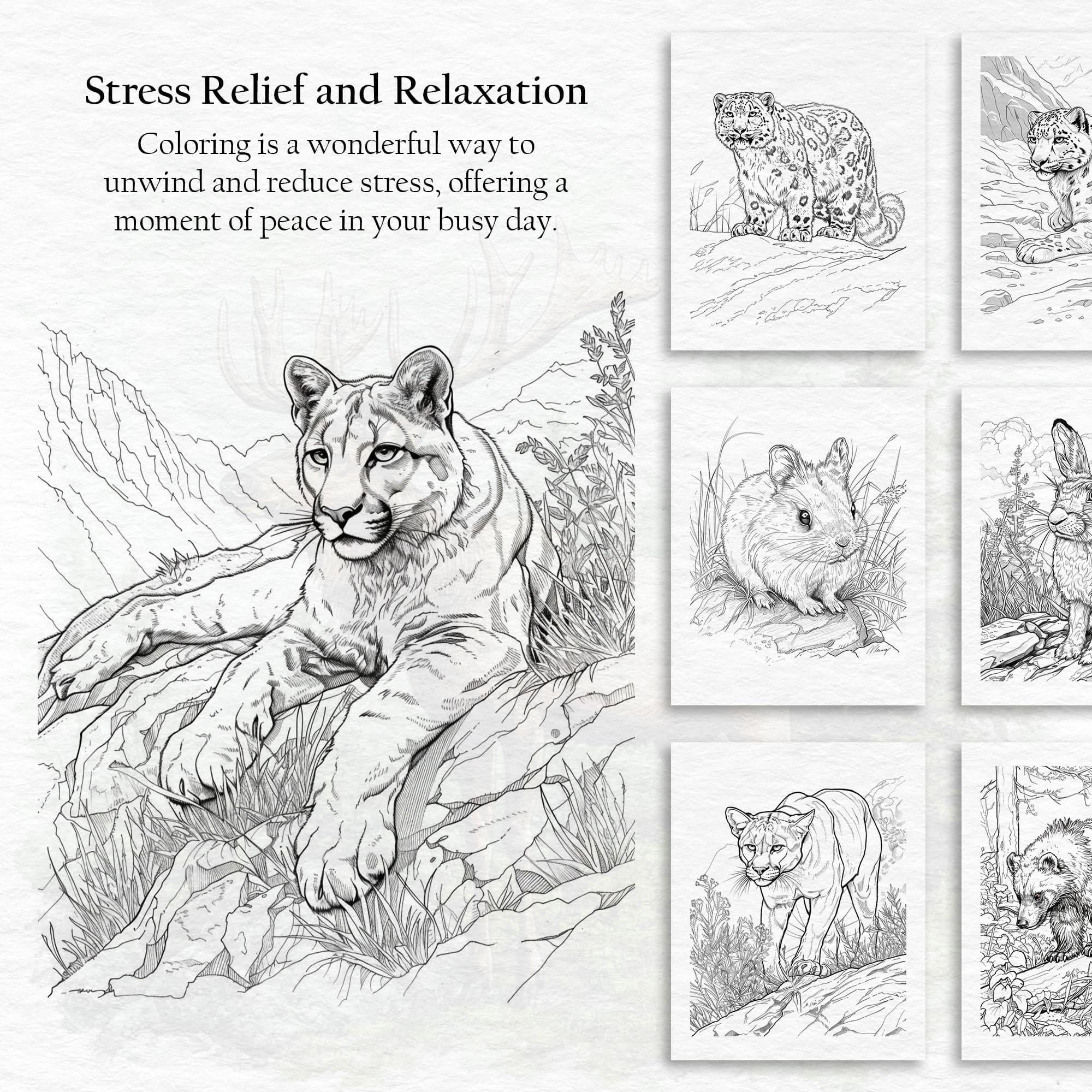 100 Mountain Animals Coloring Pages - Adults and Kids Coloring Book ...