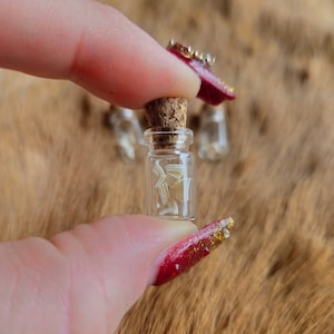 Tiny Jar of Rodent Teeth curio ethically sourced animal bones glass jar with cork
