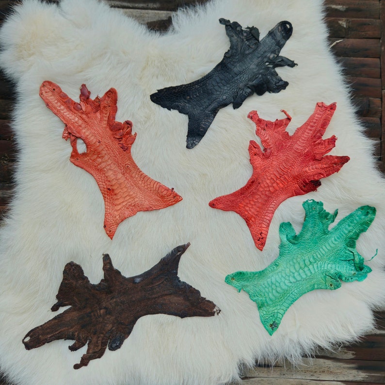 May include: Five different colored leather pieces with a textured pattern. The pieces are arranged on a white fur background. The colors are black, orange, red, green, and brown.