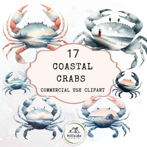 Imágenes prediseñadas costeras: cangrejo con vista al mar sobre su concha, imágenes prediseñadas de cangrejo costero, vida marina, descarga digital PNG, cangrejo costero con concha pintada