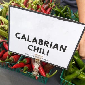Calabrian Peppers