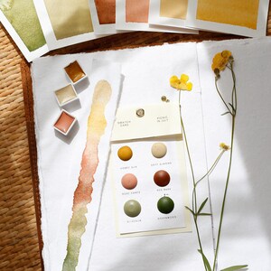 Könnte beinhalten: Aquarellfarbmuster in Gelb-, Orange- und Grüntönen werden auf einer weißen Oberfläche präsentiert. Eine Farbmusterkarte mit Farbbezeichnungen wie "Honey Sun" und "Red Bark" ist ebenfalls vorhanden. Getrocknete gelbe Blumen sorgen für einen natürlichen Touch.