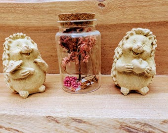 Raysin のかわいいハリネズミ