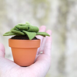 Fake Felt Succulent Sculpture, Small Artificial Potted Plant for Dorm Decor, Office Cubicle, or Apartment Decor Handmade by OrdinaryMommy image 2