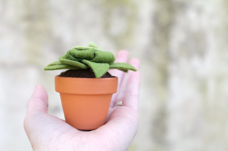 Fake Felt Succulent Sculpture, Small Artificial Potted Plant for Dorm Decor, Office Cubicle, or Apartment Decor Handmade by OrdinaryMommy image 2