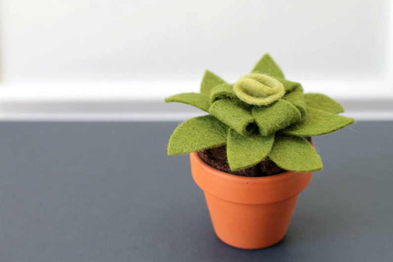 Fake Felt Succulent Sculpture, Small Artificial Potted Plant for Dorm Decor, Office Cubicle, or Apartment Decor Handmade by OrdinaryMommy no